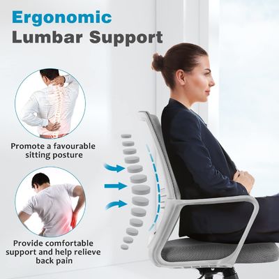 Ergonomischer Bürostuhl, Farbgeschneiderter Schwenkstuhl mit Lendenstütze und Armlehnen