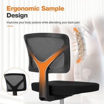 Ergonomischer Schreibtisch und Stuhl mit Lendenkissen in individueller Farbe