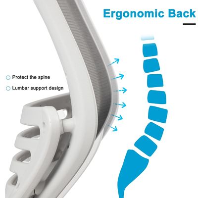 Direct Mesh Bürostuhl mit ergonomischem Design, mit höhenverstellbarem Arm- und Taillenstützpunkt