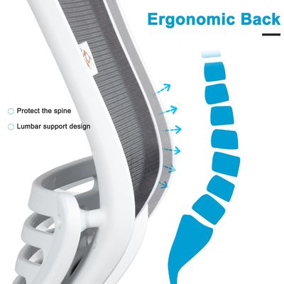 360 Dreh-Ergonomisch-Gitter-Computerstuhl mit Höhenanpassung und Taillenunterstützung