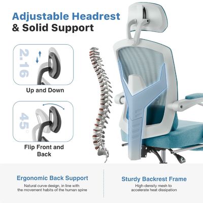 3 Gaslift ergonomischer Bürostuhl mit Lendenkissen und Rückstütze