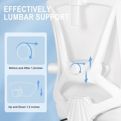 Executive High Back Office Chair mit 360 Dreh- und verstellbarer 2D-Lumbalstütze